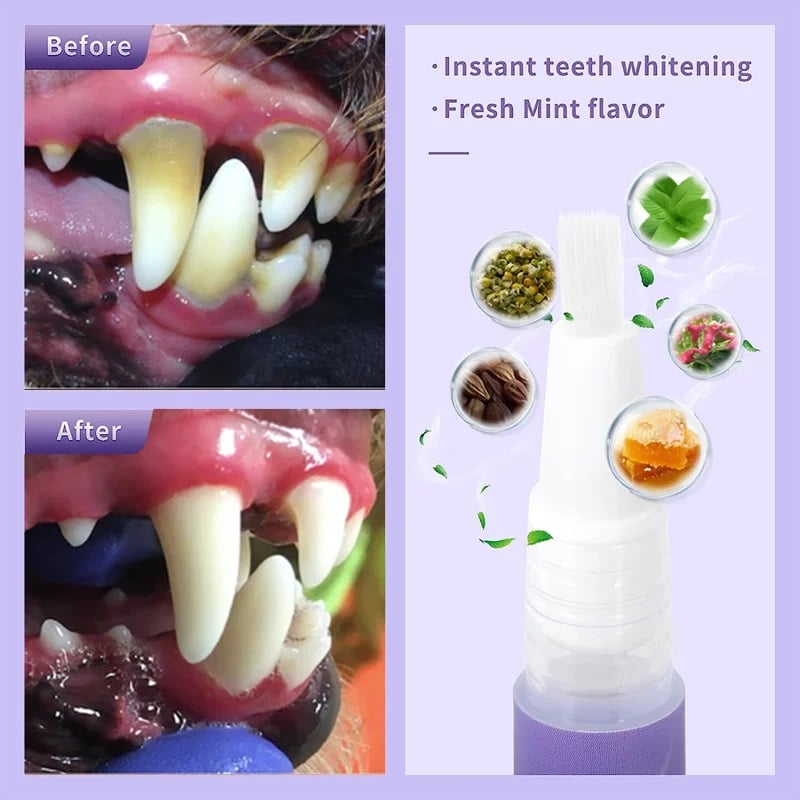 BiteRight™ - Transform Yellow Fangs Into Sparkling White Canines (+ FREE Mystery bonus)