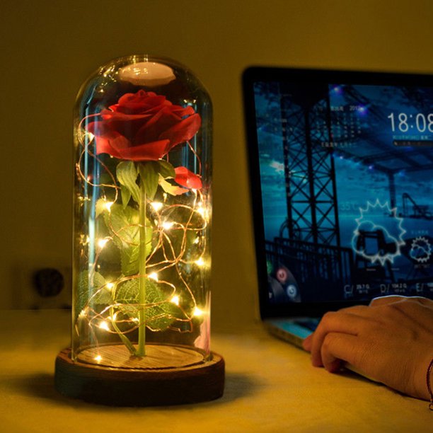 Eternal Rose - Everlasting Rose