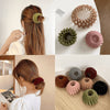 StyleHold Pro™ - Korean-Inspired Hair Clips That Hold All Day (+ FREE Annual Planner | 50 pages)