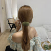 StyleHold Pro™ - Korean-Inspired Hair Clips That Hold All Day (+ FREE Annual Planner | 50 pages)