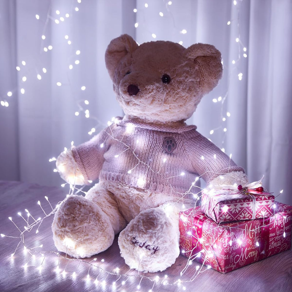 Christmas Light LED Waterproof Silver Wire Fairy Firecracker Lights