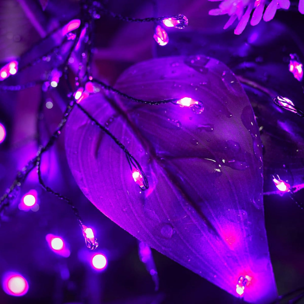 Christmas Light LED Waterproof Silver Wire Fairy Firecracker Lights