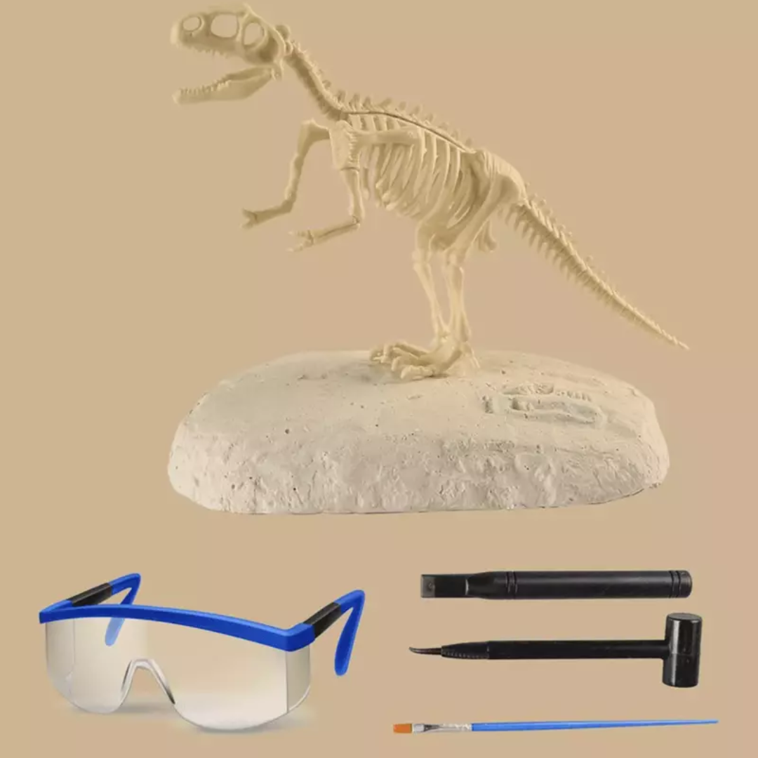 Dinosaur Excavation Kit – Dig Up Your Own Fossils!