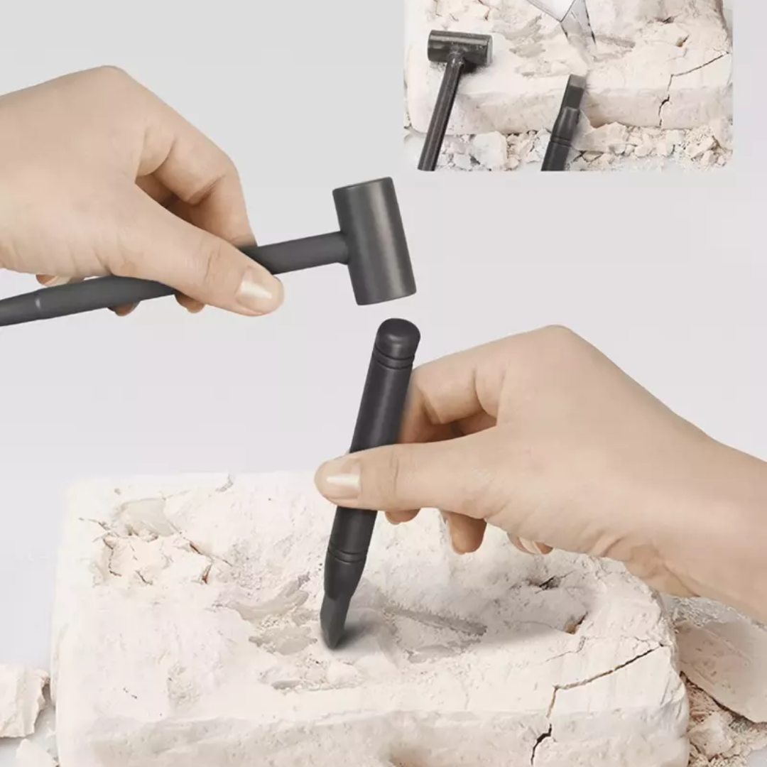 Dinosaur Excavation Kit – Dig Up Your Own Fossils!