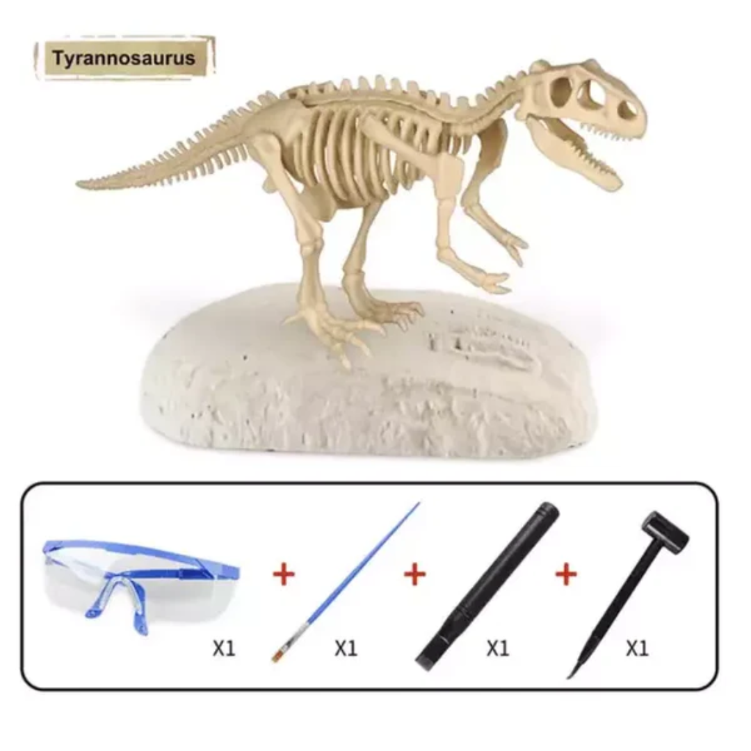 Dinosaur Excavation Kit – Dig Up Your Own Fossils!