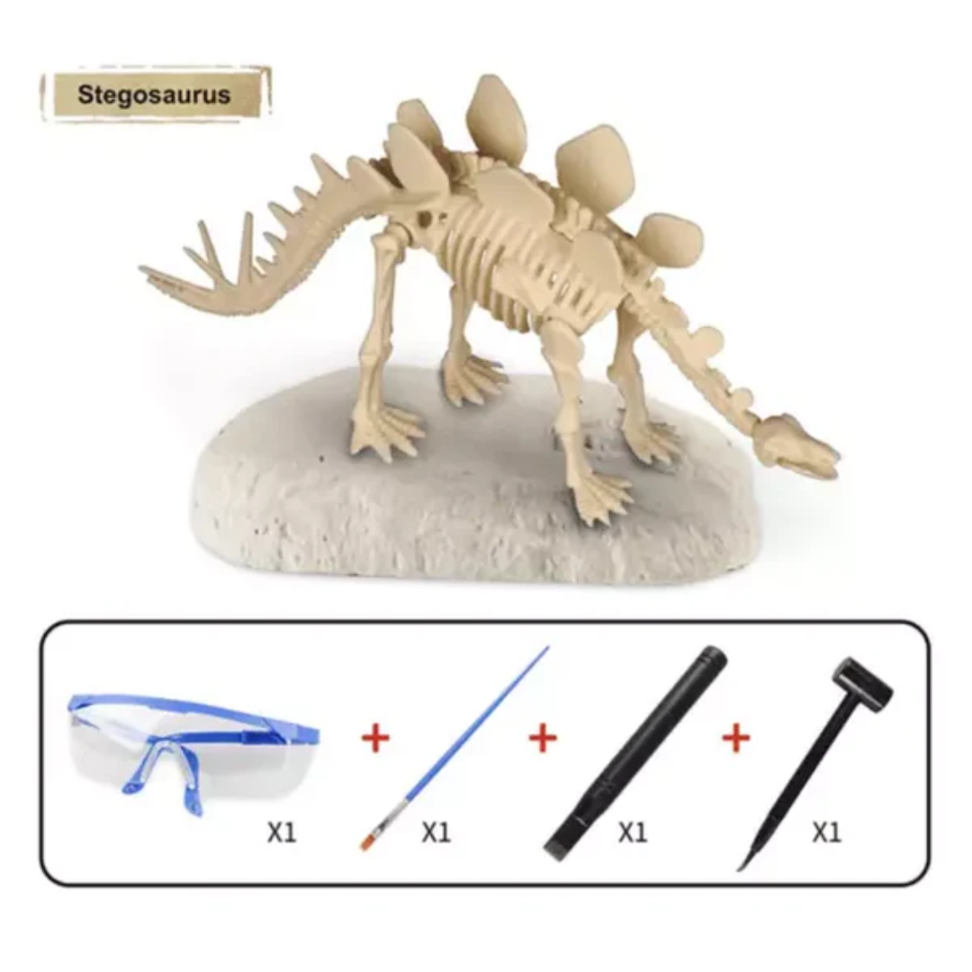 Dinosaur Excavation Kit – Dig Up Your Own Fossils!