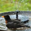 AquaZen Pro™ - Transform Any Space Into a Tranquil Oasis (+ FREE Annual Planner | 50 pages)