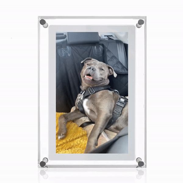 LuxFrame Pro™ - Bring Every Memory To Life In Stunning HD (+ FREE Annual Planner | 50 pages)